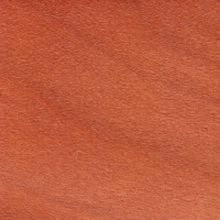 Образец №55 Образец №55